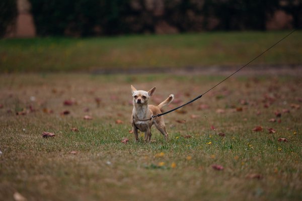 Wie kann man mit wenig Budget stilvoll aussehen?