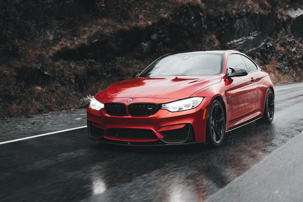 Welche Vorteile bieten Haustier-Adoptionen aus dem Tierheim?